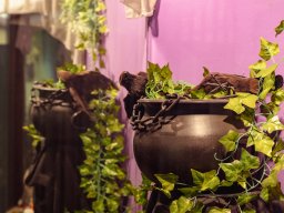 Fotowalk Klagenfurt Kärnten - Juli 2025