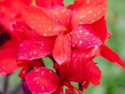 Fotowalk Klagenfurt Kärnten - Juli 2025